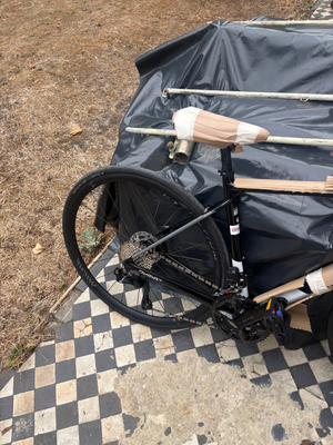 Wilier Garda 105 Di2 12x Syntium 2025