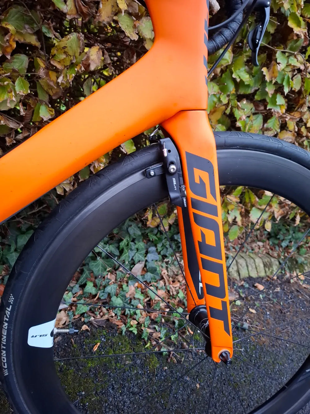 Giant Propel Advanced Pro 0 2015
