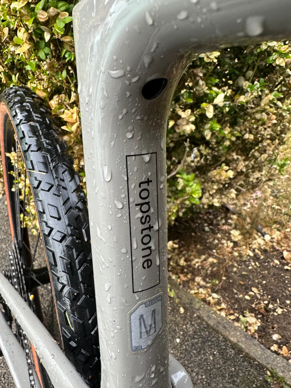 Cannondale Topstone Neo Carbon Lefty 3 2020