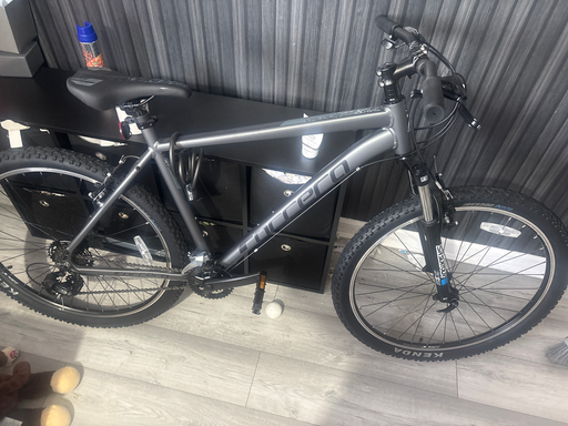 Carrera Valour Disc 2026
