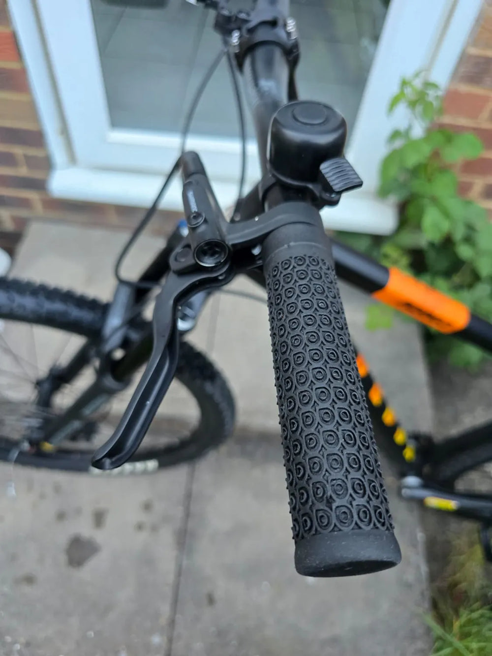 Voodoo Bizango 29 2023