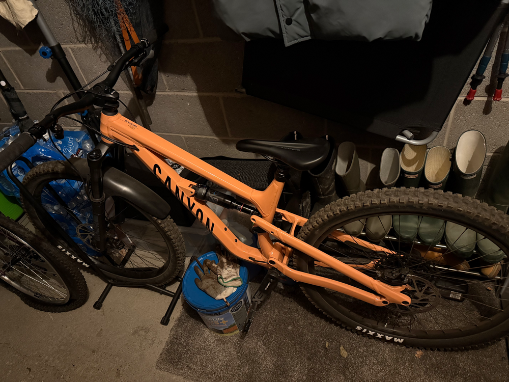 Canyon Spectral 5 2024