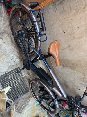 Raleigh Array Crossbar 2023