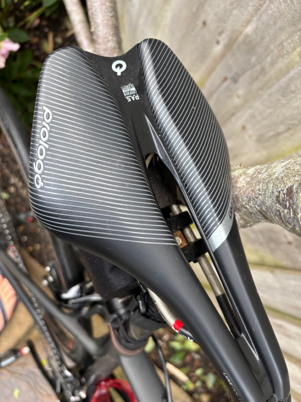 Argon 18 GO! 2019