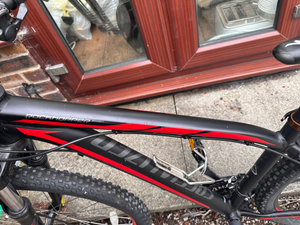 Specialized Rockhopper 29 2016