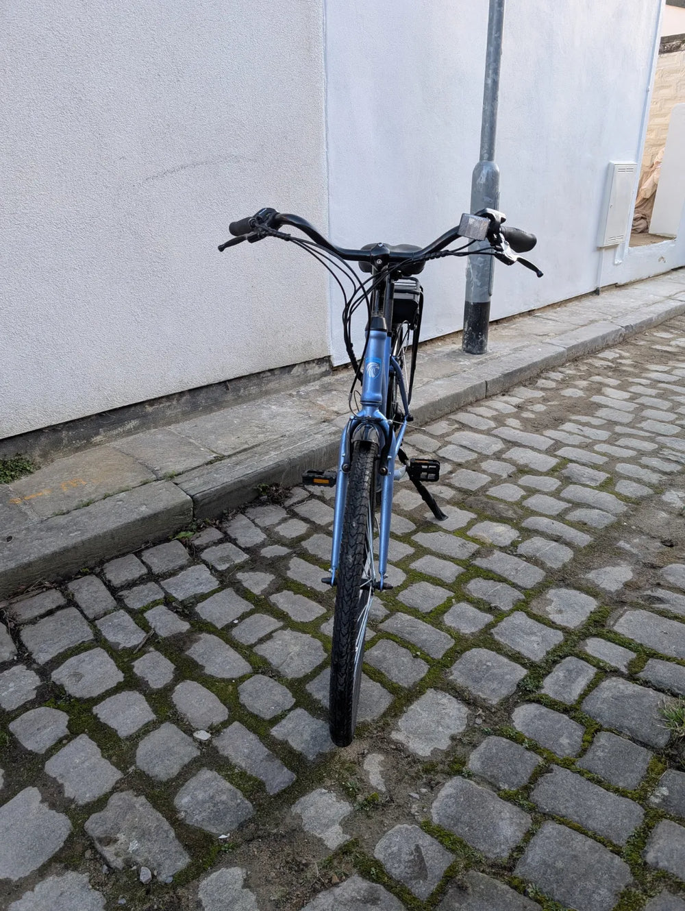 FALCON Serene 2023