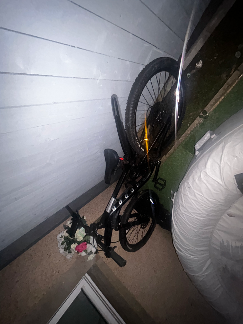 Voodoo Canzo FS 2026