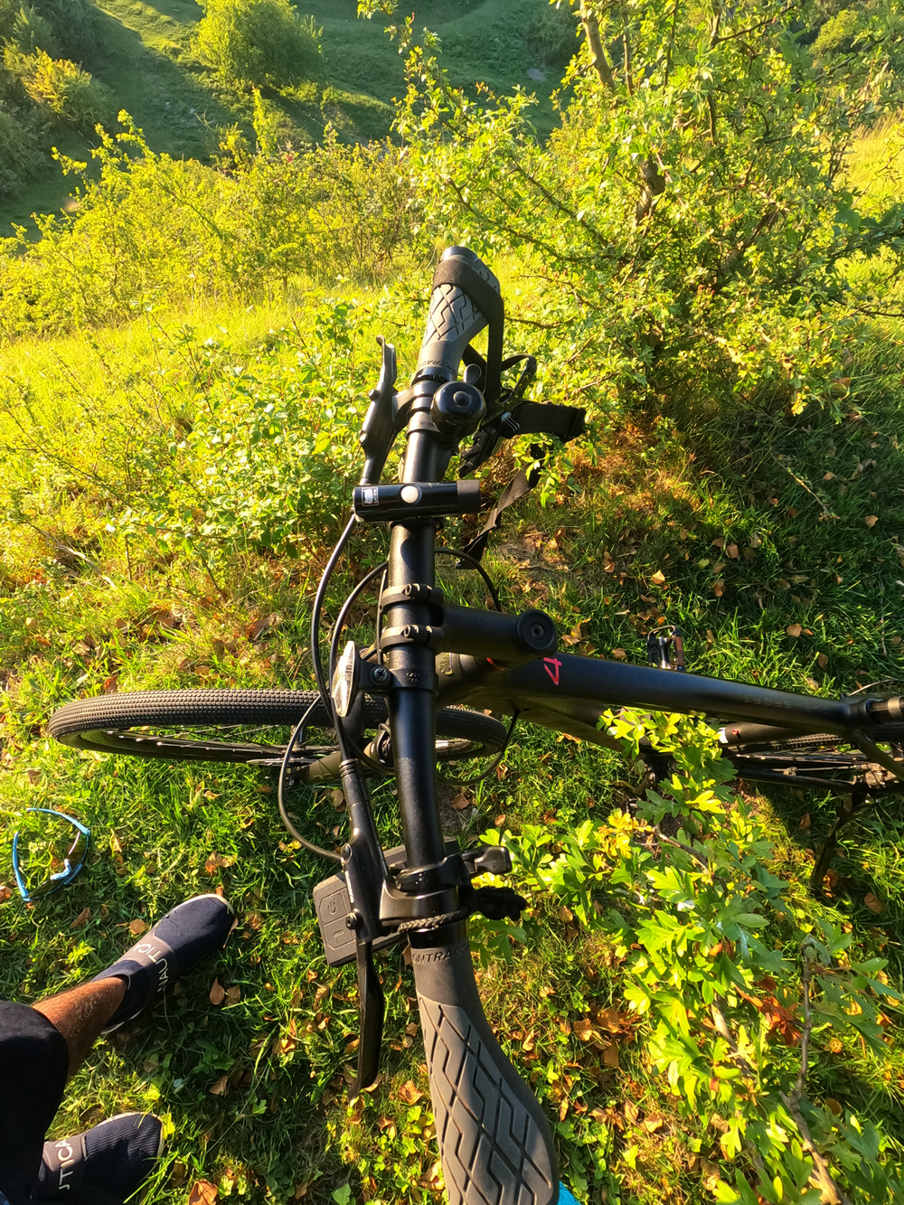 Trek Dual Sport 4 Gen 4 2023