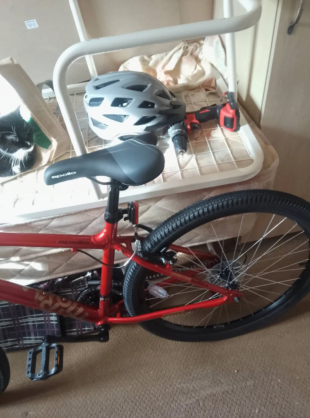 Apollo Evade Mens Mountain Bike 2023