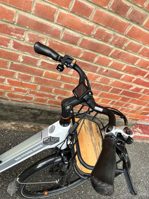Rad Power RadCity 5 Plus Step-Thru 2021