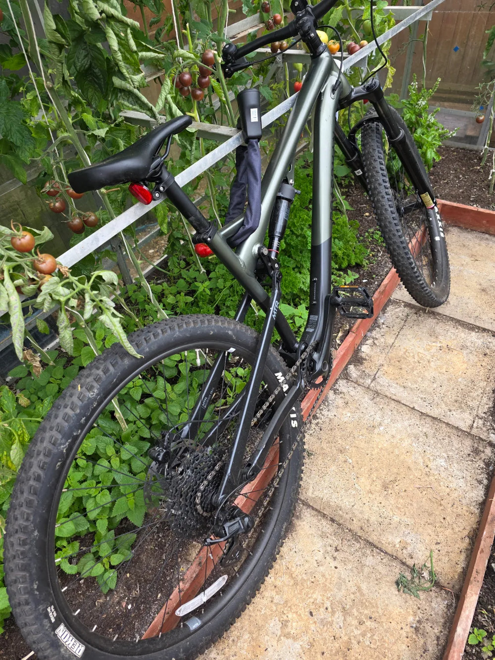 Boardman MTR 8.6 2026