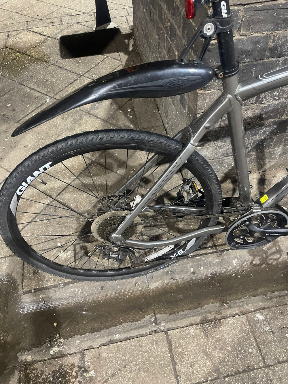 Giant Roam 2 (2015) 2014