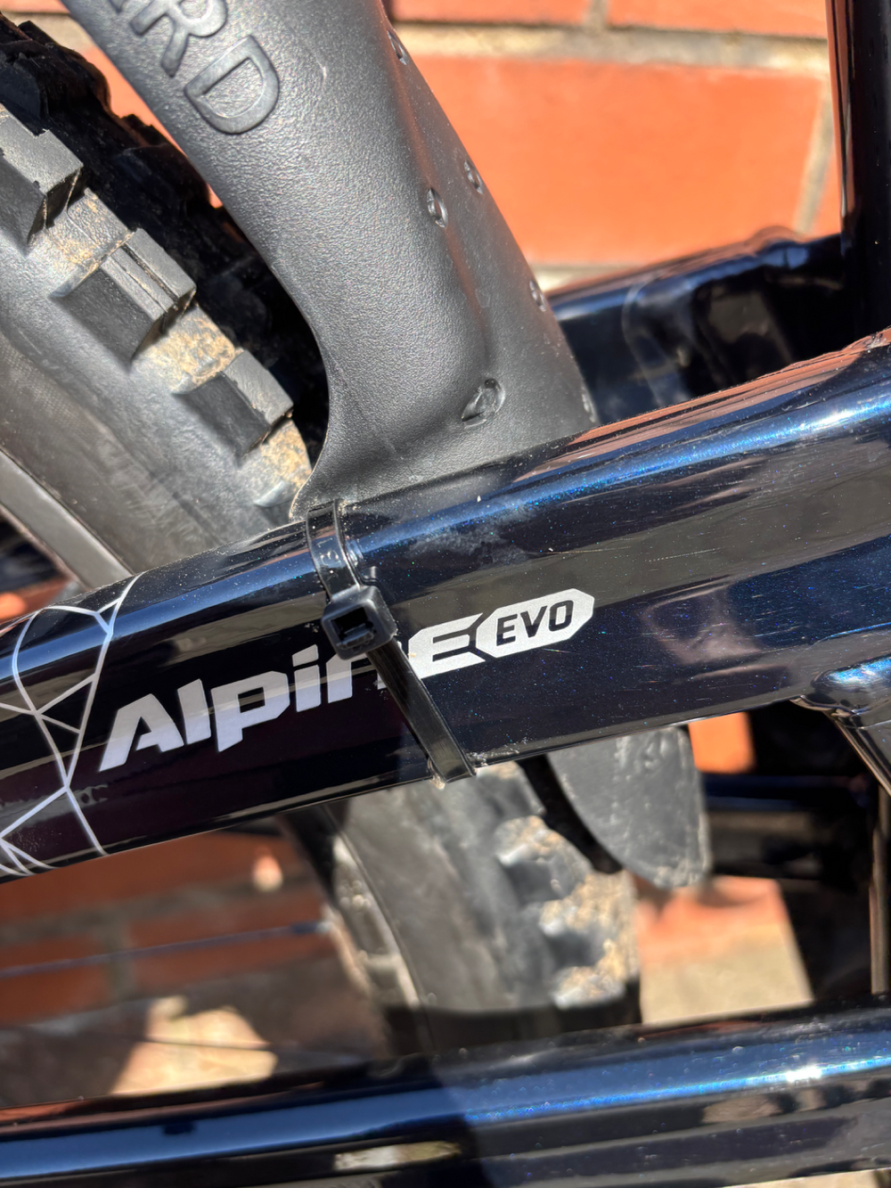 Orange Alpine Evo SE 2022