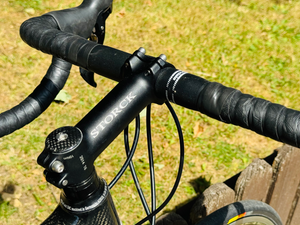 Storck scenario 1.1