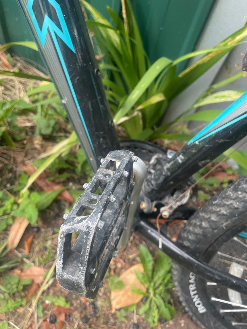 Trek Skye SL 2018