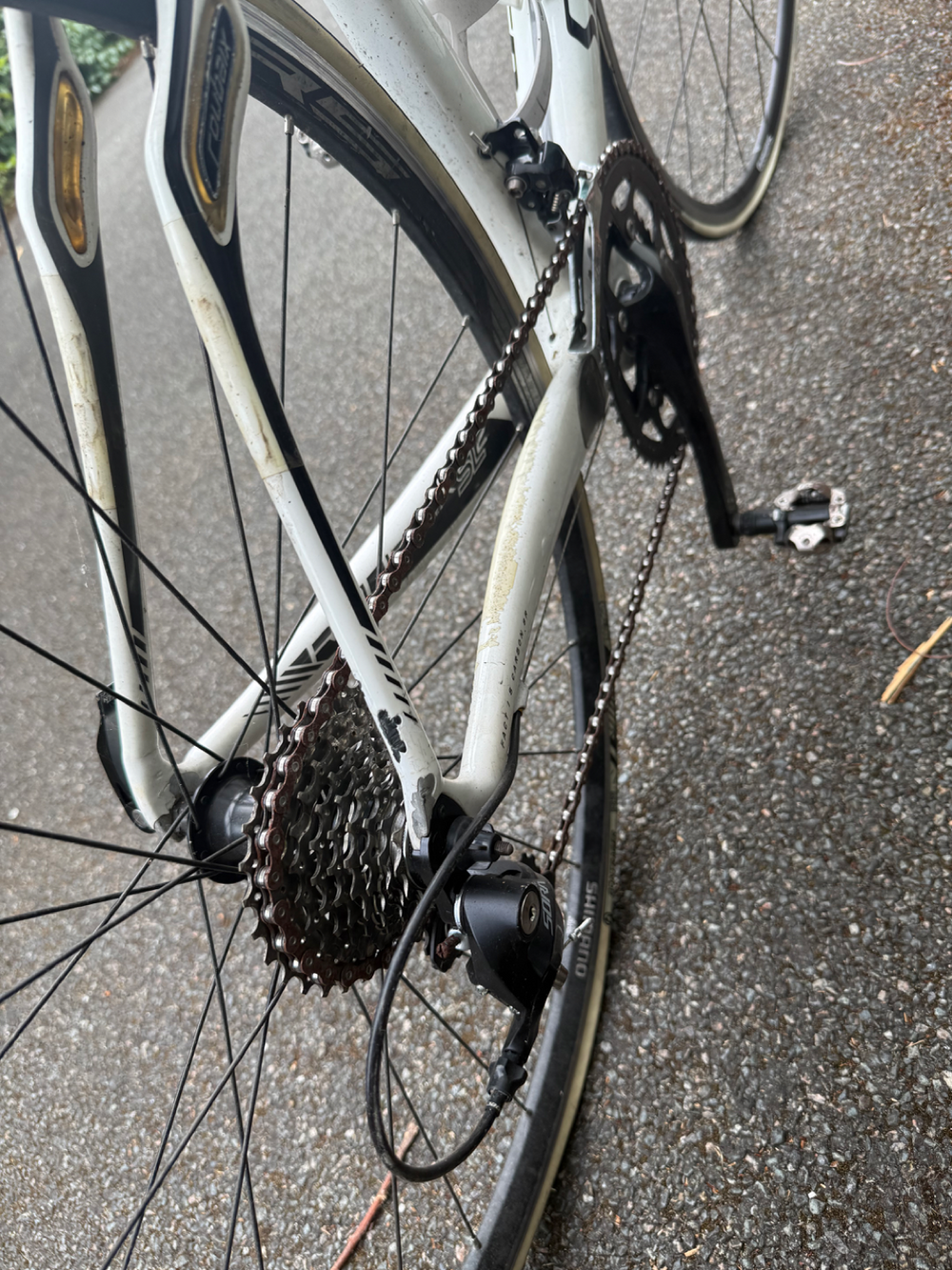 Specialized Roubaix 2013