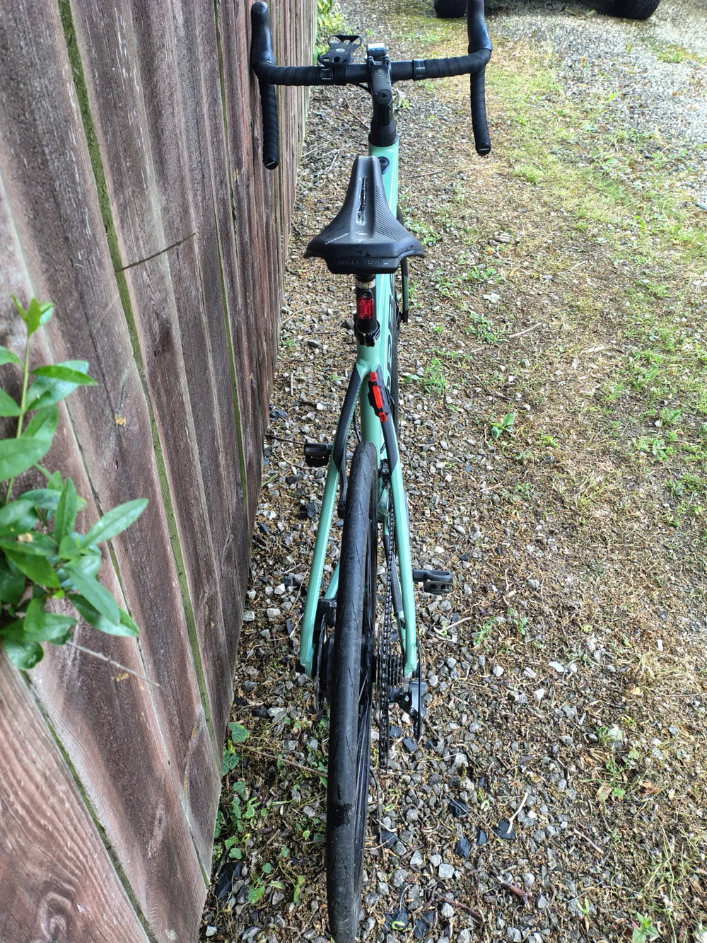 Orbea Gain D50 2021