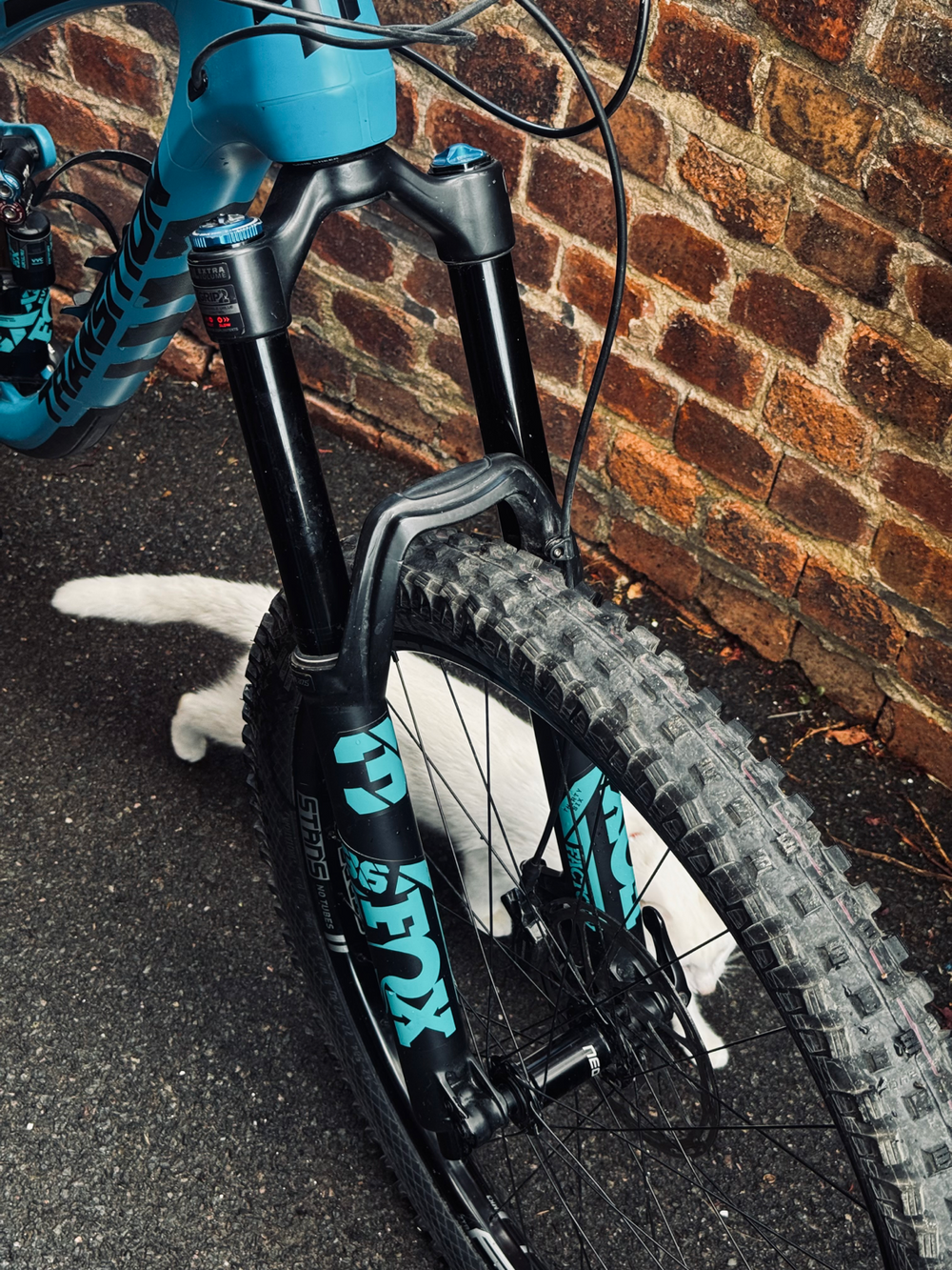 Transition Patrol Carbon Complete GX 2019