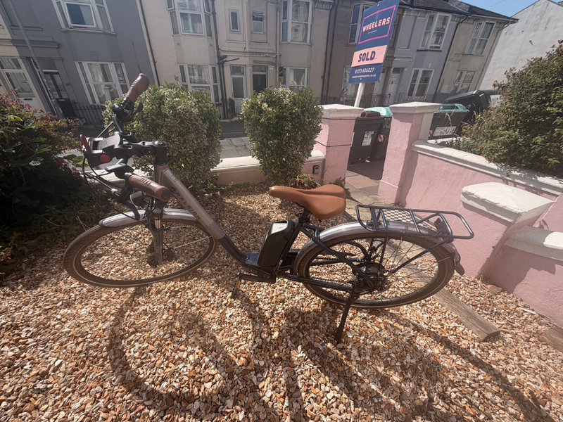Raleigh Array E Motion Low Step 2022