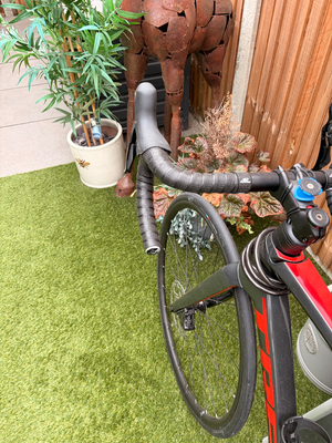 Trek Émonda SL 5 2024