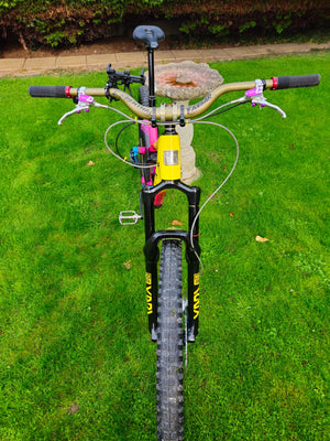 Marin Alpine Trail Carbon Fun2 Frameset 2024