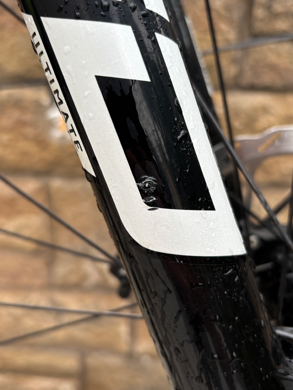 Santa Cruz BLUR XX SL AXS RSV / Carbon CC 2024
