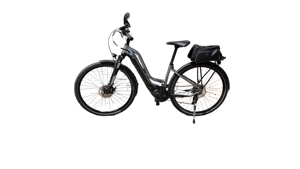 Bergamont E-horizon Edition 5 Amsterdam 2020