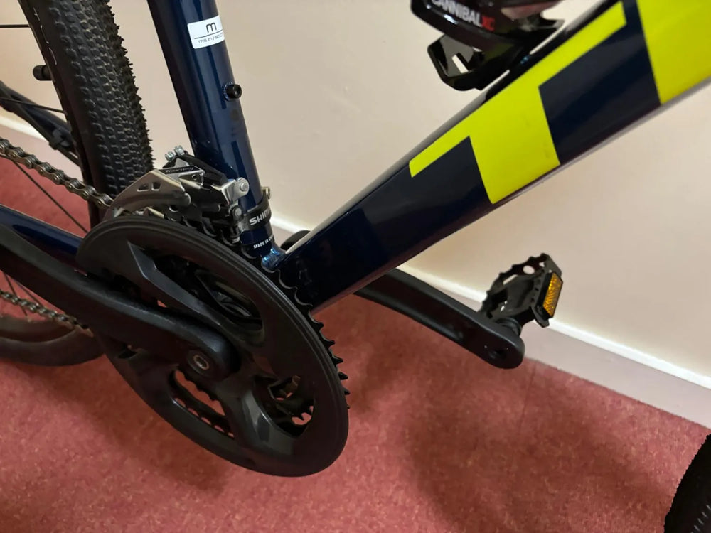 Trek Dual Sport 2 2021