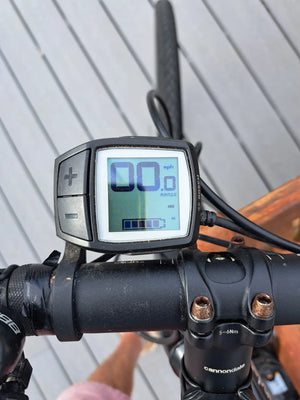 Cannondale Synapse Neo 2020