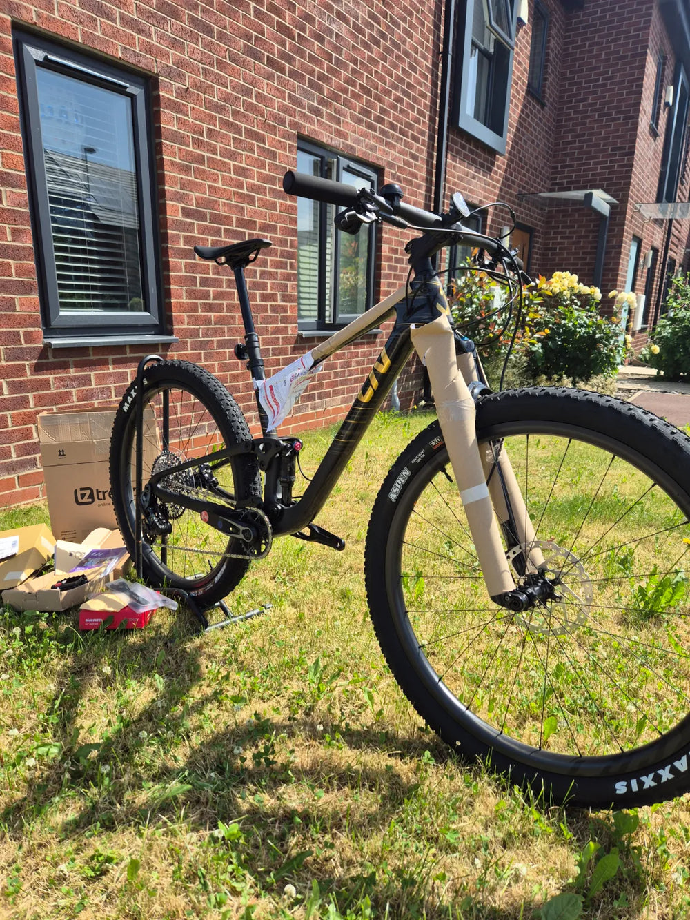 Giant Giant Liv Pique Advanced 29 1 M Raw carbon 2025