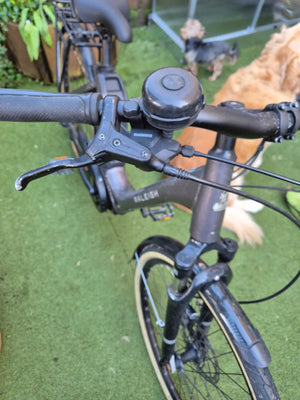 Raleigh Motus Ltd Lowstep Electric 2025