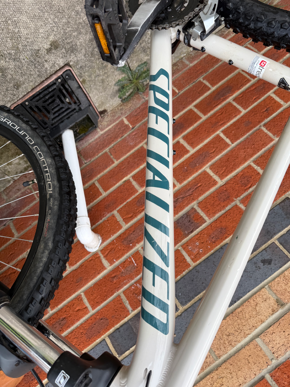 Specialized Men's Rockhopper 2019