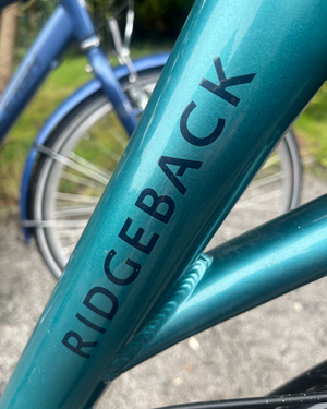 Ridgeback Avenida 7 2020