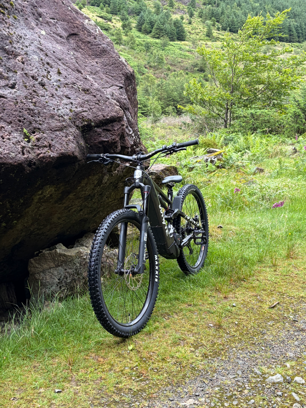 Whyte Kado S 2025