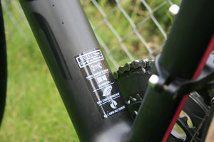 Focus Cayo Disc Ultegra