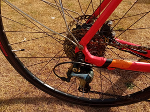 Lapierre Esensium 300 2022