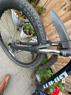 Giant Talon 5 29 2023