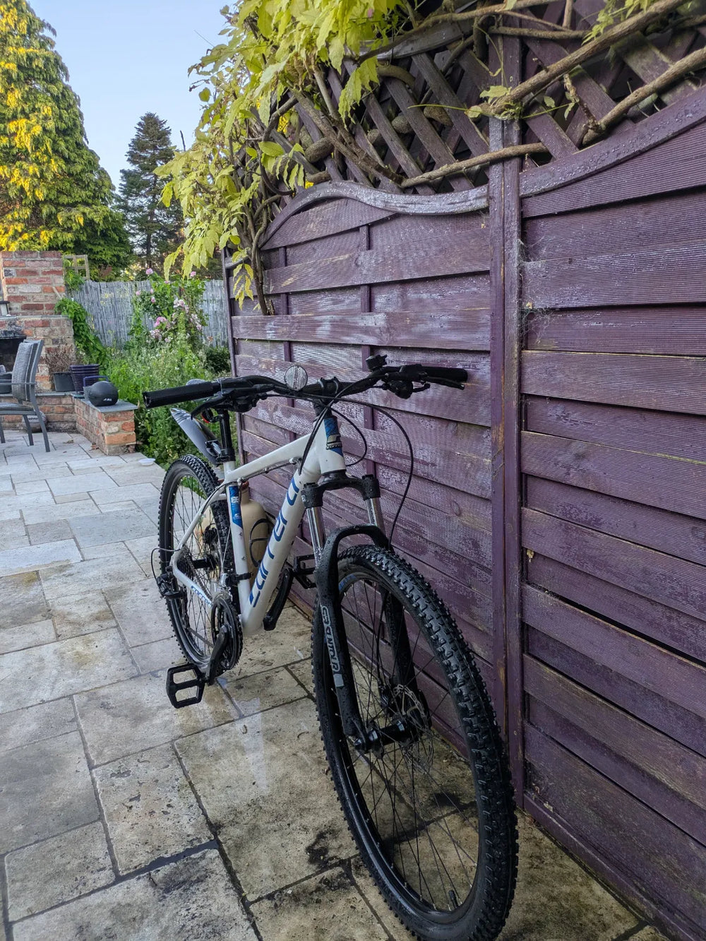 Carrera Hustle 2 Mountain Bike 2022