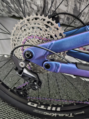 Voodoo Canzo Pro 2025