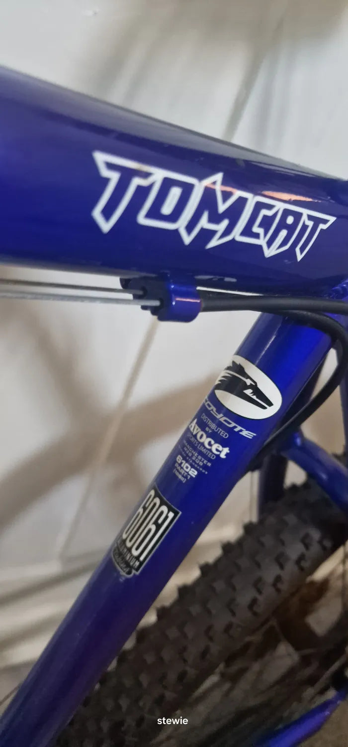 Coyote Tomcat 2015