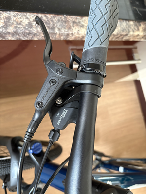 Trek Dual Sport 3