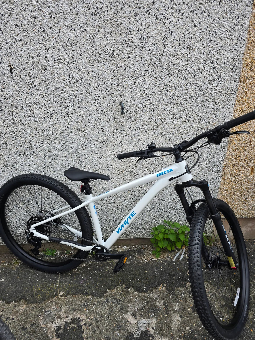 Whyte Secta R 2026