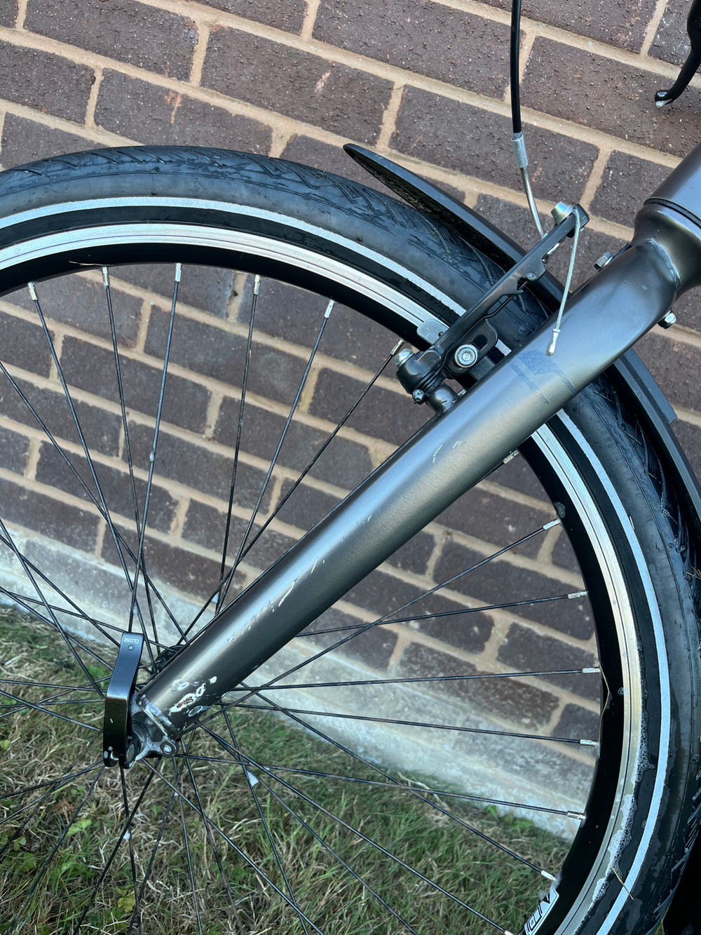 Carrera impel im 2022