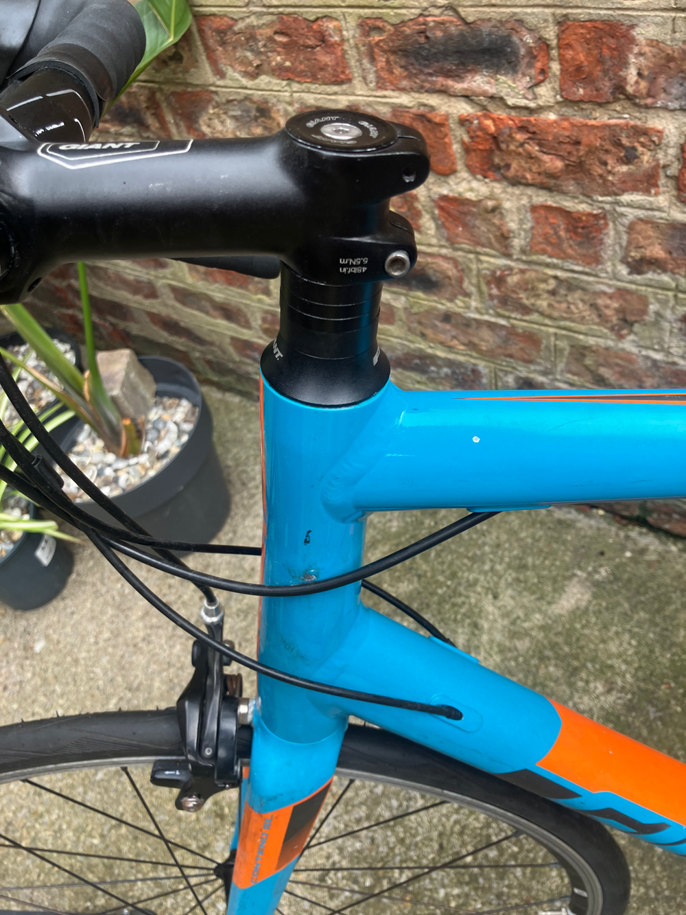Giant Contend Sl 2 2018