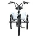 Gogobest GF100 electric tricycle 350W 2025