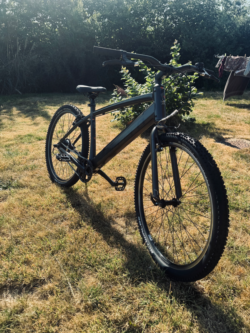 Carrera impel 1.1 2022
