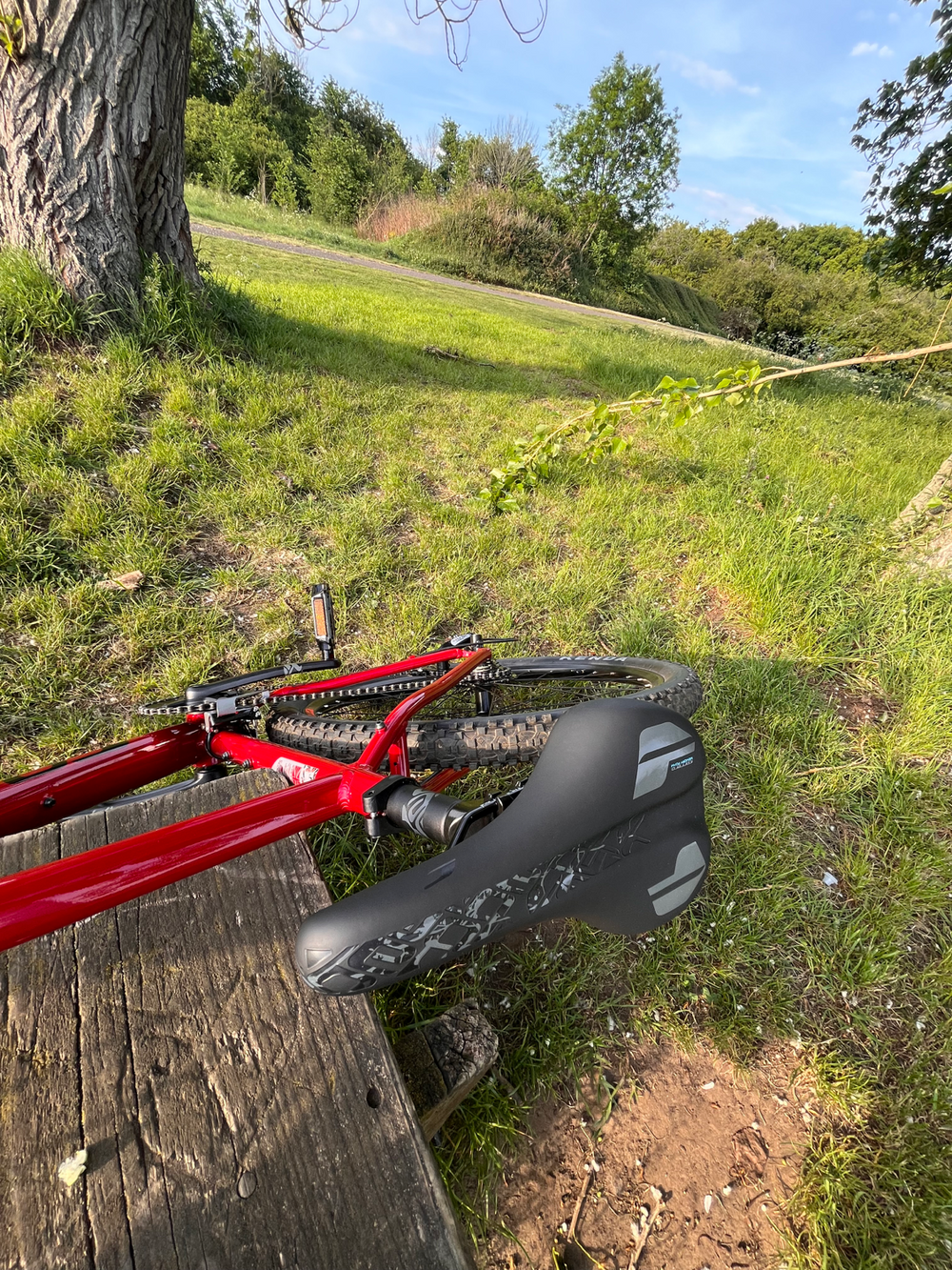 Carrera Valour Disc 2026