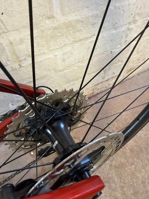 Colnago V4 Disc Road (Shimano Ultegra R8170 Di2) 2025