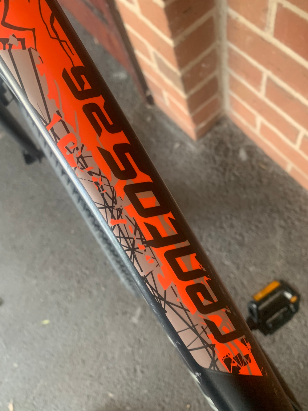 Carrera Centos Junior 2022