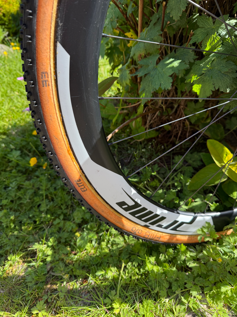 Storck Tix 2020